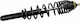 Moose Racing Motorradstoßdämpfer Vorder Heavy Duty Au-04381