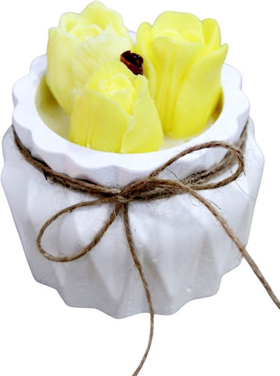 Candle Light Aromatisches Soja Kerze in Gefäß Gelbe 004326KIT
