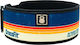 ’26 Cfg Edition 20 Year 4" Centura de haltere – 2pood