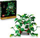 LEGO Lego Botanische Sammlung Hängender Goldener Efeu Für 18+ Jahre 372 Stück
