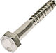Inox Mare Треньорски Винт Inox DIN 571 с Диаметър M6 и Дължина 100mm