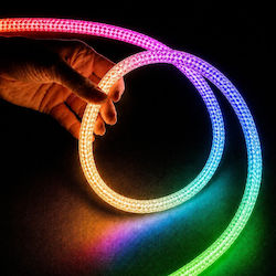 kelvo Bandă LED impermeabilă 24V 10m Neon Flex kelvo Bandă LED impermeabilă 24V 10m Neon Flex
