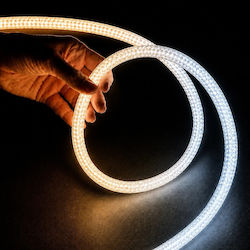 kelvo Bandă LED Impermeabilă 24V Lumină Albă Reglabilă 10m Neon Flex kelvo Bandă LED Impermeabilă 24V Lumină Albă Reglabilă 10m Neon Flex