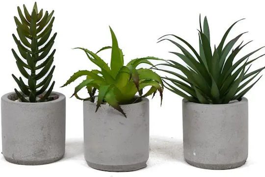Stewehome Set 3 Bucăți Cactuși Artificiali Suculenti Modern Gri Vas Din Plastic