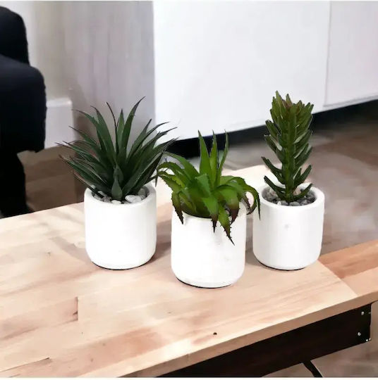 Stewehome Комплект От 3 Бройки Изкуствени Кактуси Сукуленти Модерен Бял Пластмасов Саксия
