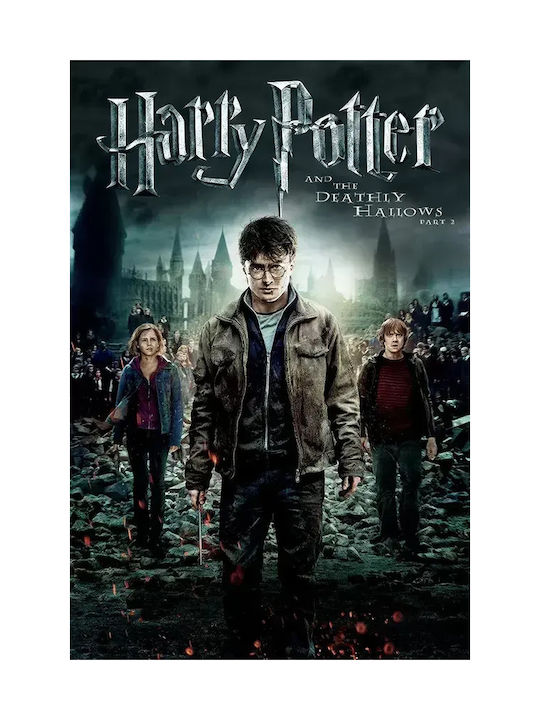 Harry Potter Deathly Hallows Part 2 Mv388 21cm X 30cm-71825pd159608