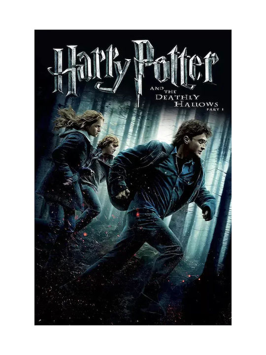Harry Potter Deathly Hallows Part 1 Mv387 40cm X 50cm-71824pd159603