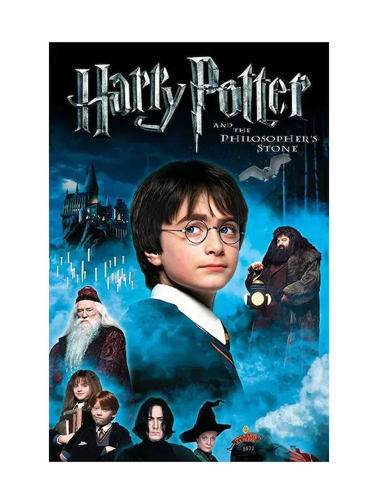 Poster Harry Potter Philosophers Stone Mv381 60cm X 90cm-71818pd159563