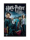Poster Harry Potter Pocalul De Foc Mv384 30cm X 40cm-71821pd159581