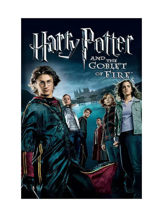 Poster Harry Potter Goblet Fire Mv384 60cm X 90cm-71821pd159584