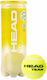 Head Team — Tennisbälle 3
