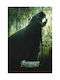 Poster Avengers Doomsday Mv396 50cm X 70cm-71836pd159703