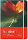 adBook Lumiere D Дневен дневник 2027 13x21см.