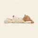 Egmont Plüsch- und Kuscheltier Teddybär 50 cm