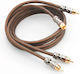 Focal RCA мъжки - RCA мъжки 1m CABER1