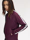 Herren Jacken Lila