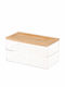 vidaXL Plastic Storage Box with Lid Transparent 19x9.5x10cm