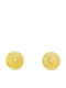 Drandakis Stud Earrings Gold Plated Silver