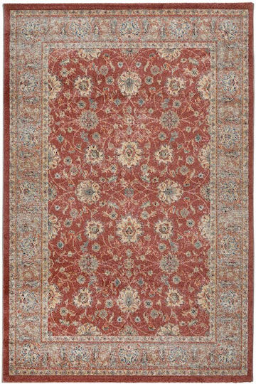 Viokarpet Naif Teppich Flur Beige 80x150cm