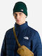 Dock Worker Recycled Beanie Unisex Mütze aus Strick in Grün