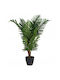 Palm Tree Potted Plant 85cm (Various Designs)