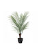 Black Potted Palm Tree 85cm