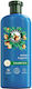 Aufbau-/Nährendes & Feuchtigkeitsspendendes Shampoo 350 ml