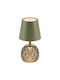 Iliadis LED Table Lamp with Green Shade and Base