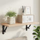 vidaXL Heavy-Duty Shelf Brackets Made of Stainless Steel in Black Colour 215x215mm 12 Pieces 42038860