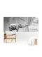 Tulup Kinder Tapeten Ein Elefant Ein Surrealer Welt 250x104