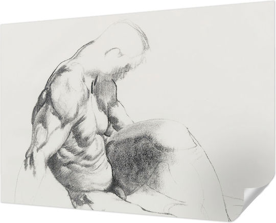 Self-Adhesive Wall Wallpaper 312x219cm