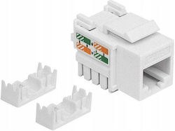 Inne Keystone RJ45 Kat.5e 1 Stück Inne Keystone RJ45 Kat.5e 1 Stück