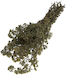 Oregano Bundle from Evia 80 g