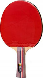 Ρακέτα Ping Pong Ρακέτα Ping Pong