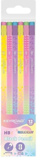 Keyroad Wooden Pencils With Eraser Iridescent Surface HB 12 Pieces Hanging Mix Colors Kr973393