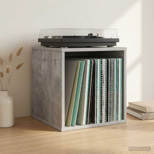 Vidaxl Cutie Album Vinil 2 Buc Gri Beton