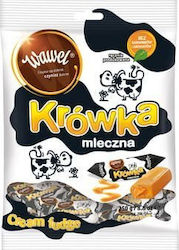Wawel Protein Kekse 250gr Wawel Protein Kekse 250gr