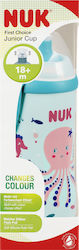 Nuk Cup για 18m+ 300ml