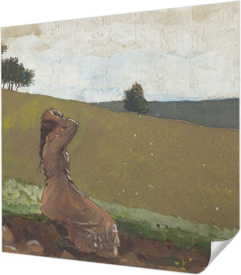 Tapet Autocolant De Perete 250x250cm