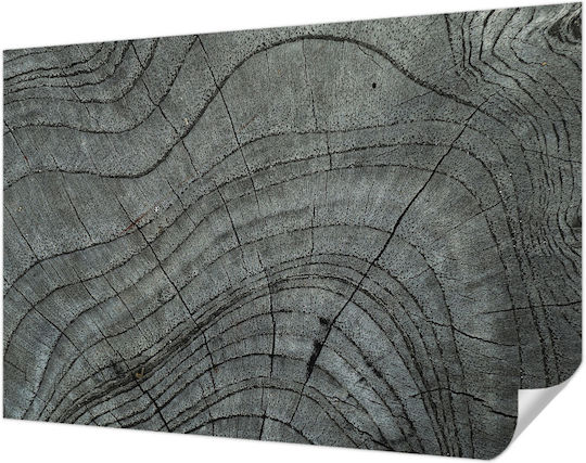 Self-Adhesive Wall Wallpaper 152x104cm