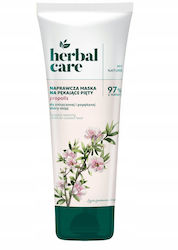 Farmona Herbal Ενυδατική Κρέμα Ανάπλασης για Σκ...