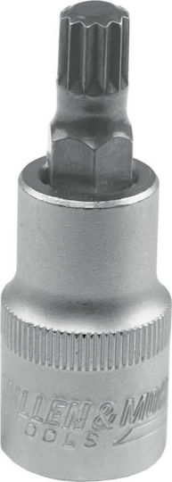 Dedra Bit Steckschlüssel mit Spline und Antriebsgröße 1/2'' Länge M12x55mm