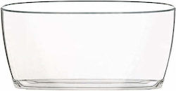 Tadar Champagners simplu Acrilic Transparent cu Dimensiuni 48x21cm Tadar Champagners simplu Acrilic Transparent cu Dimensiuni 48x21cm