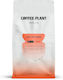 Coffee Plant Cafea Cold Brew Caramel în Boabe 800gr