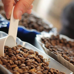 Diemme Espresso Oro Almond σε Κόκκους 200gr
