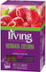 Irving Grüner Tee 20 Taschen 1,5gr
