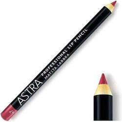 Astra Make Up 47 Gentle Petal Creion De Buze Roz Pudrat