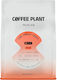 Coffee Plant Kaffee Filter Low Jungle Fruit Filter Schokolade in Körner 250g