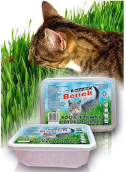 Super Benek Двойка Котешка Трева