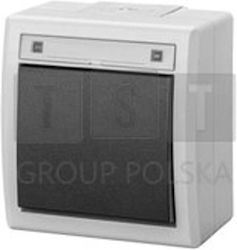 Elektro-plast 5001-10 Aquant 2k Външен Еднополюсен Бутонен Превключвател Ip55 Сив 5001-10